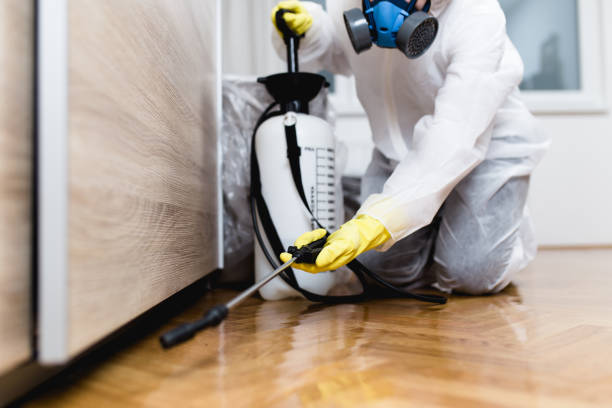 Reliable Smithville, TN Pest Control Solutions