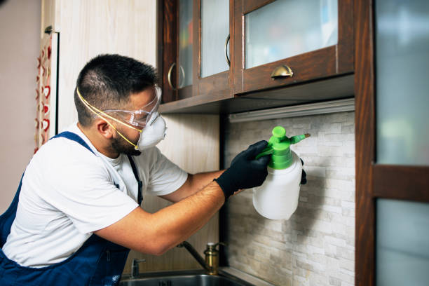 Trusted Smithville, TN Pest Control Experts