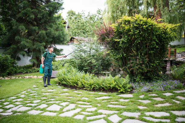 Best Pest Inspection Near Me  in Smithville, TN