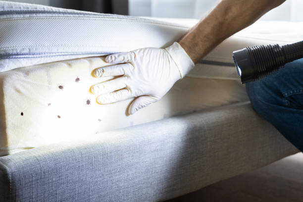 Best Pest Control Cost  in Smithville, TN