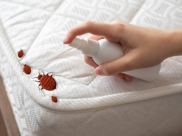 Best Wasp Removal Services  in Smithville, TN