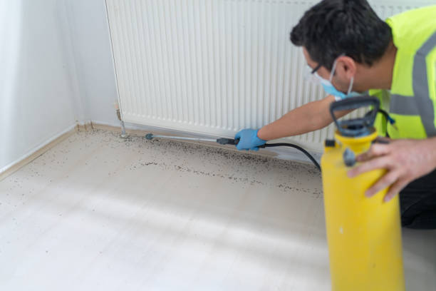 Best Pest Prevention Services  in Smithville, TN