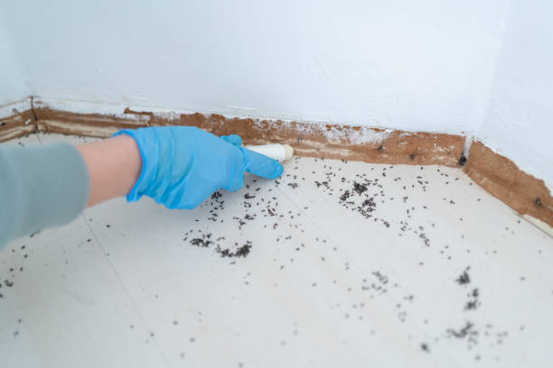 Best Exterminator Services  in Smithville, TN